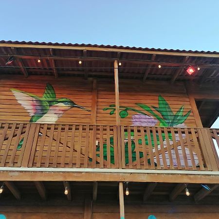 エル・コージョCabana Colibri A 50 Metros De La Playaアパートメント エクステリア 写真