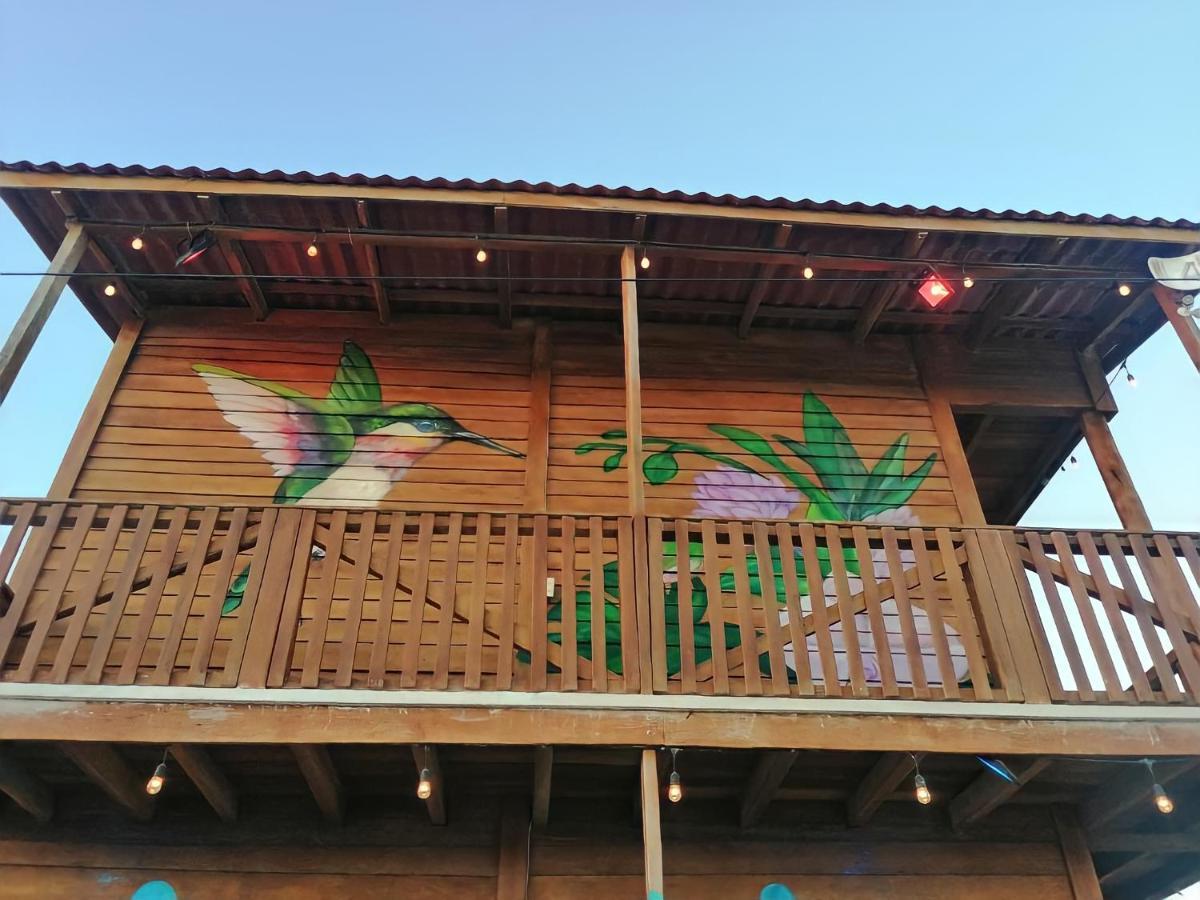 エル・コージョCabana Colibri A 50 Metros De La Playaアパートメント エクステリア 写真